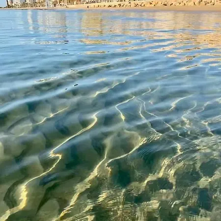 Frente Al Mar En Apartmán