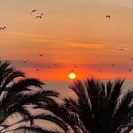 Frente Al Mar En Apartamento El Campello